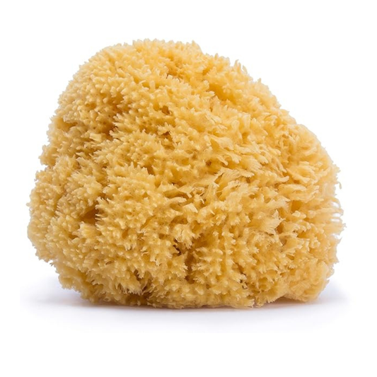 Suavinex Natural Baby Bath Sponge | Soft Sea Sponge for Sensitive Skin